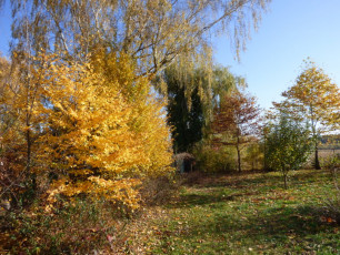 jesień wokół klasztoru